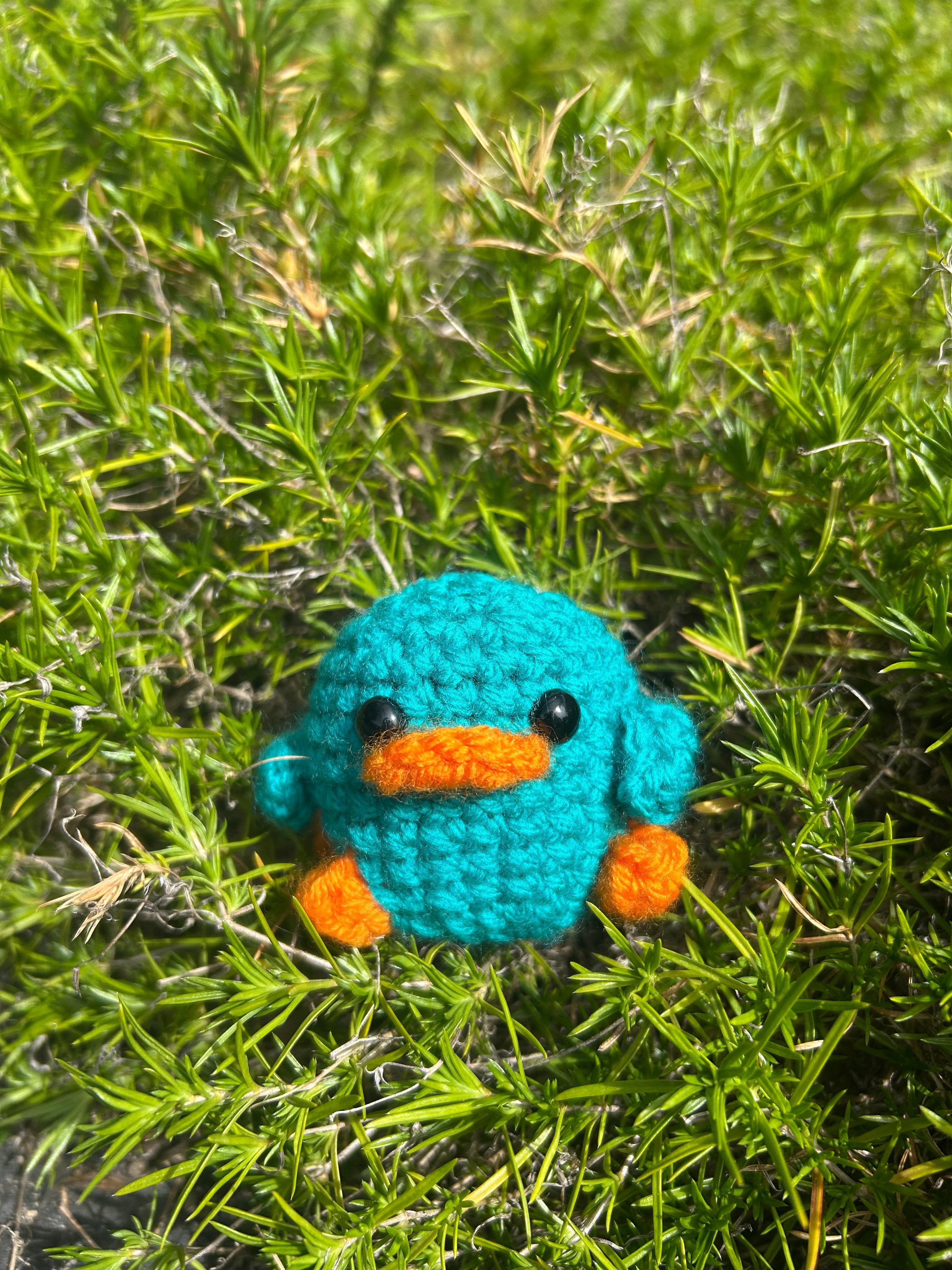 Perry the Platypus