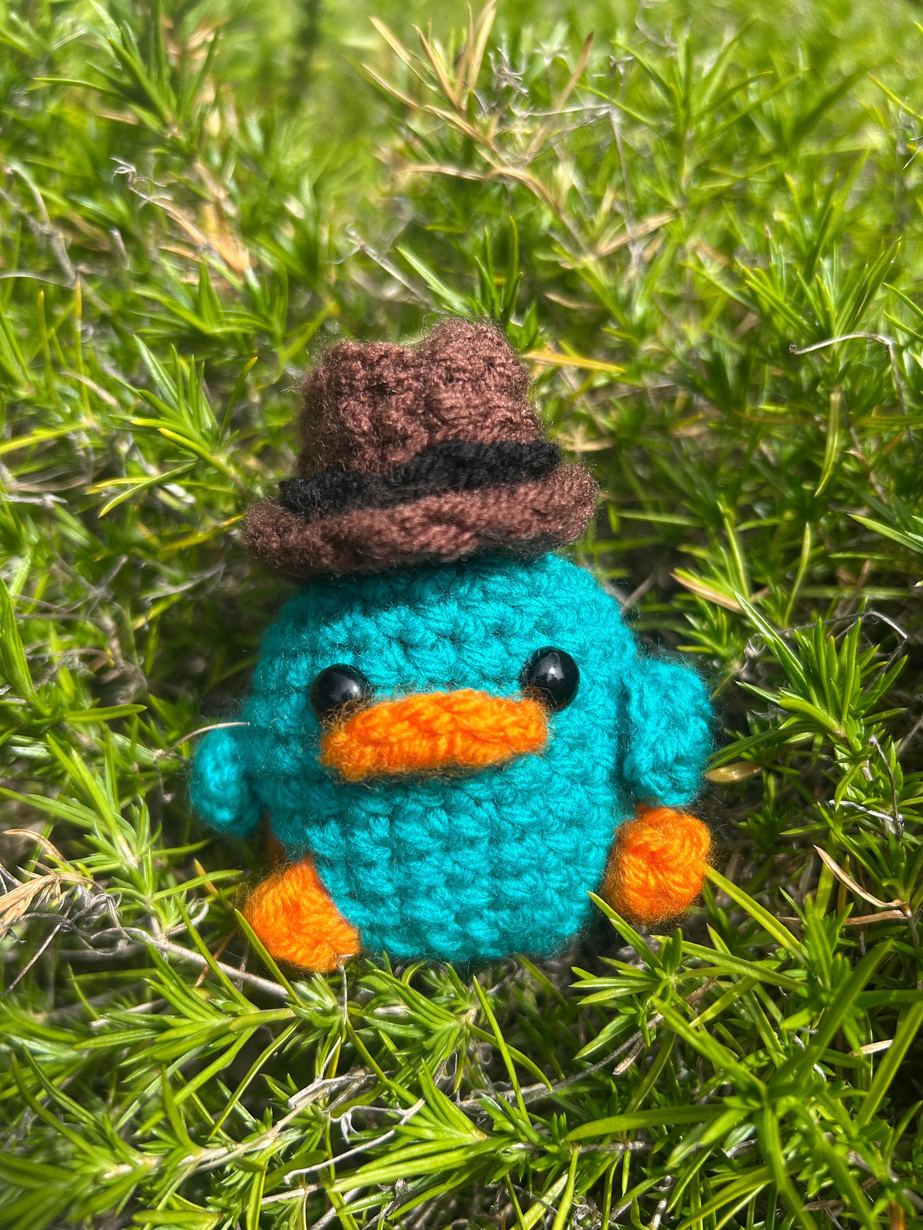 Perry the Platypus