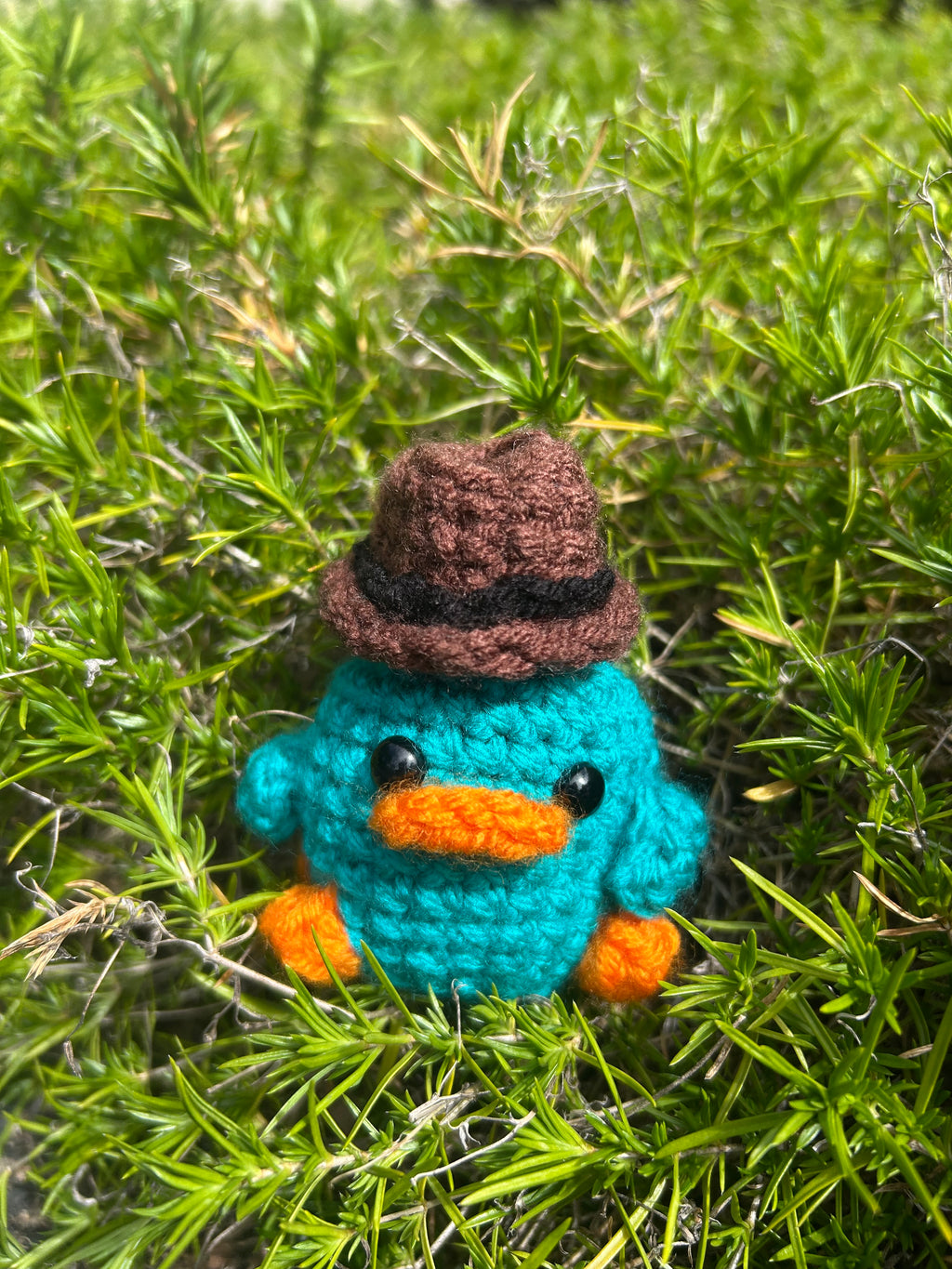 Perry the Platypus
