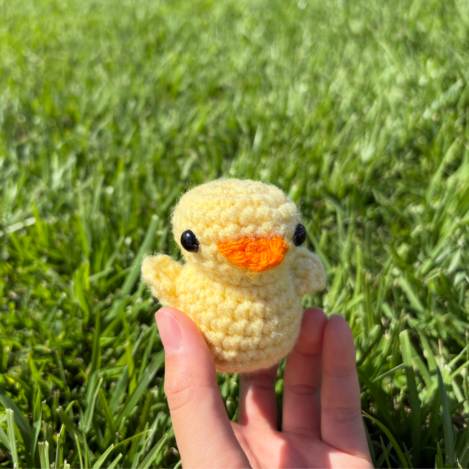 ducky